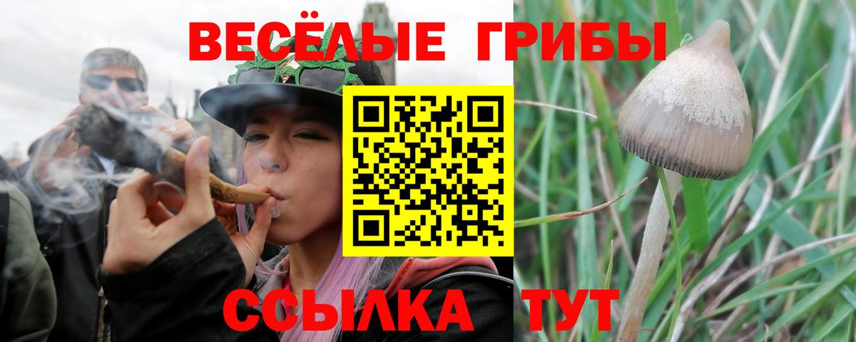 Галлюциногенные грибы мухоморы Сибай